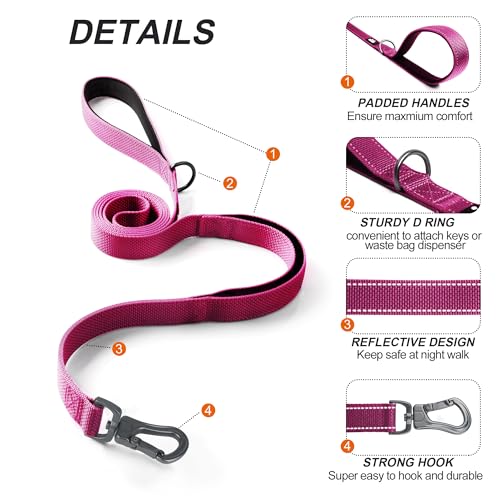 5FT 1IN Heavy Duty Dog Leash for Large Dogs with 2 Padded Handles (Rose / 1 in x 5 ft)