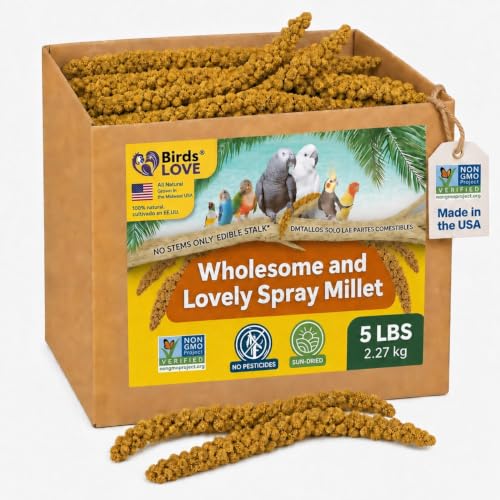 5 LB Wholesome Spray Millet for Birds (5 Pound (Pack of 1))