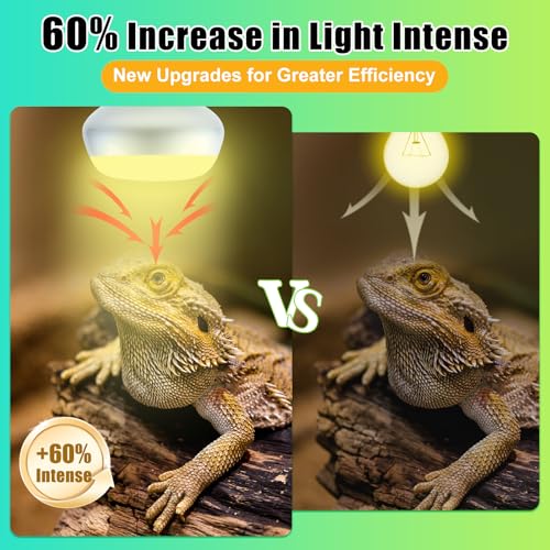 Reptile Heat Lamp 2Pack 50W (Intense Light / 2*50)