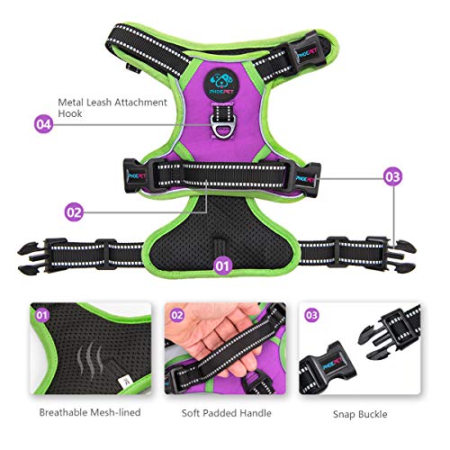 2019 Upgraded No Pull Dog Harness (Purple / Large)