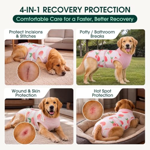 Recovery Suit for Dogs Cats (Large (Back:16.1-20.1'', Weight:23-48 Lb) / 1#Blush Peach)