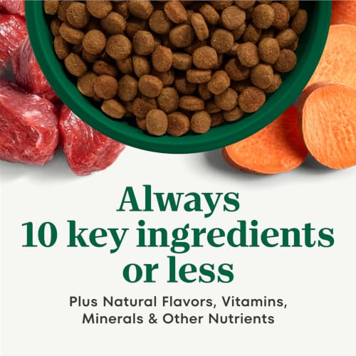 Limited Ingredient Diet Large Breed Dry Dog Food (22 Pound (Pack of 1))