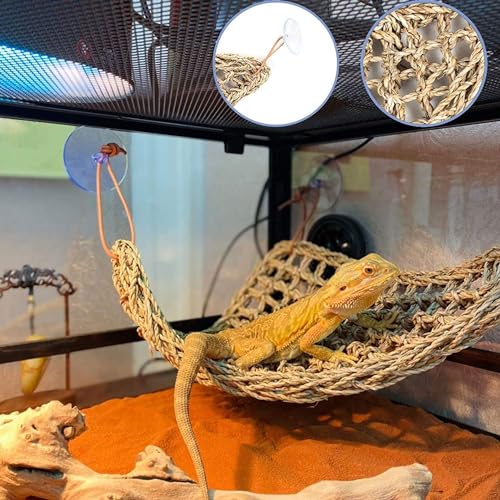 Bearded Dragon Tank Accessories Set