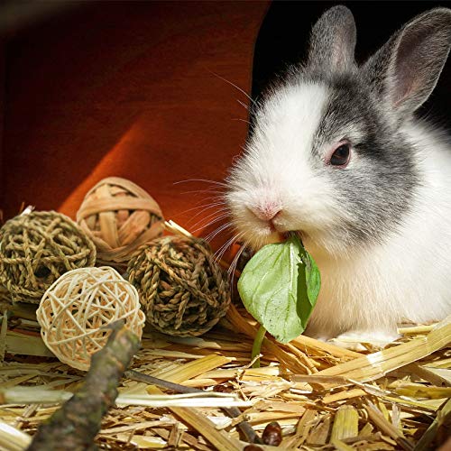 8 Pcs Small Animals Play Balls Rolling Activity Chew Toys Gnawing Treats for Rabbits Guinea Pigs Chinchilla Bunny Natural Balls (8Pcs)