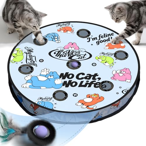 Interactive Cat Toy (No Cat No Life)