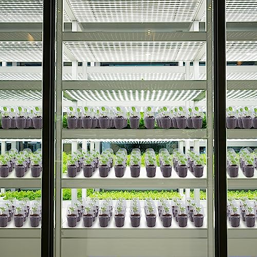 36 Set Nursery Pots with Humidity Dome (Clear)