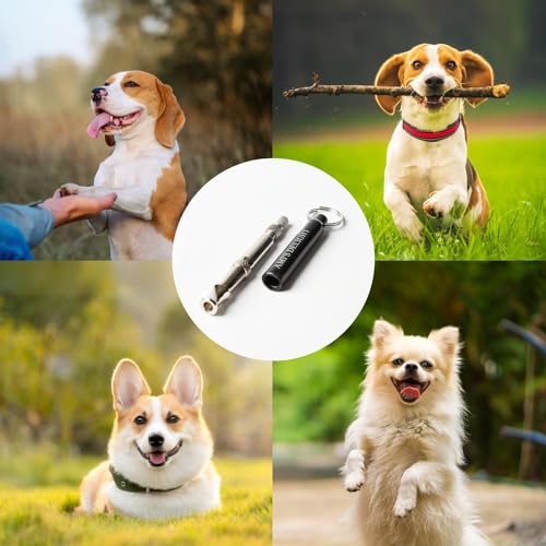 Dog Whistle Set of 5