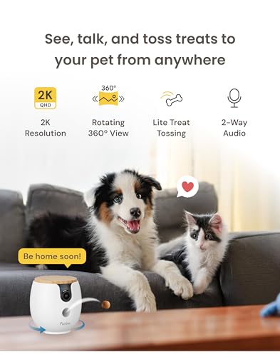 Mini 360° Camera [Core Features (Mini 360° Camera / No Subscription Required)