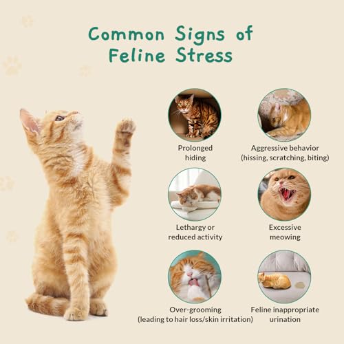 Calming Pop Patch for Cat Travel (28 Count)