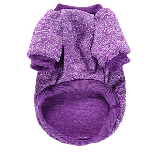 Dog Sweaters for Small Dogs (Purple / Small)