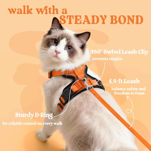 Cat Harness and Leash Set (Xxs / Orange)