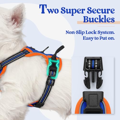 Dog Harness No Pull for Small Dogs with 2 Leash Clips (X-Small / Blue & Orange)