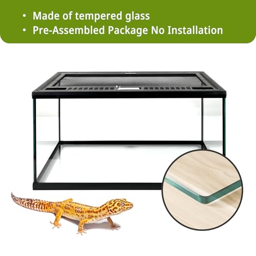 Reptile Glass Tank 20"*12"*10" Pre (20*12*10inch)