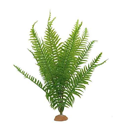 Fake Fern Plants