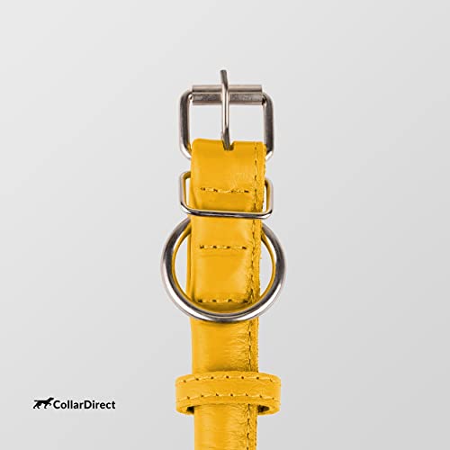Tangle Free Rolled Leather Dog Collar (Yellow / XS)