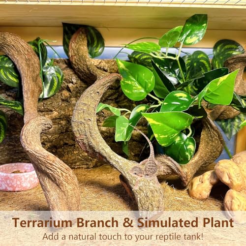 3PCS Natural Reptile Climbing Branches Decor (3PCS|M:1.25-1.75"T,13"H)