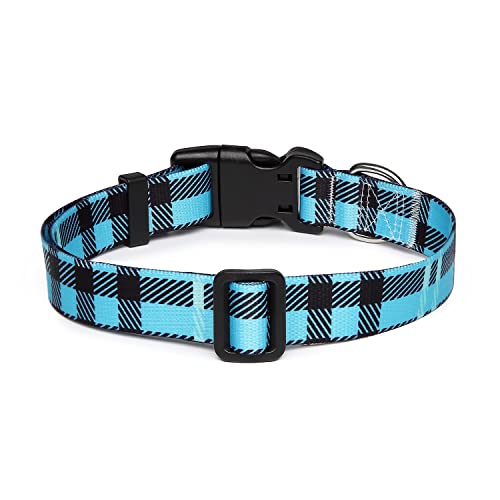 Adjustable Dog Collar (Extra Small / Blue Plaid)