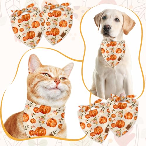 Fall Dog Bandana Pumpkin Floral Pet Scarf Double