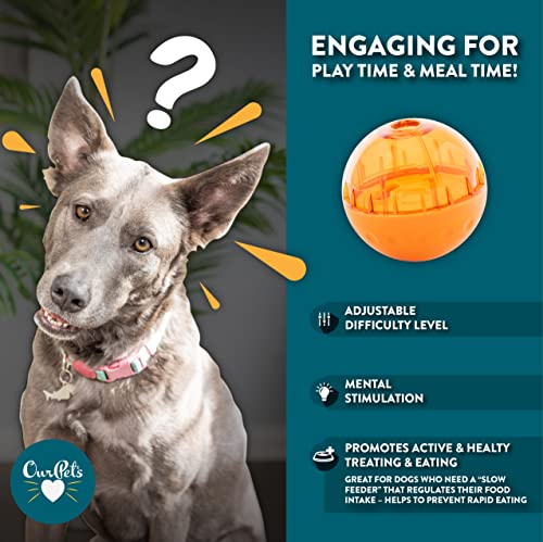 OurPets IQ Treat Ball Food Dispensing Dog Toy (3 INCH)