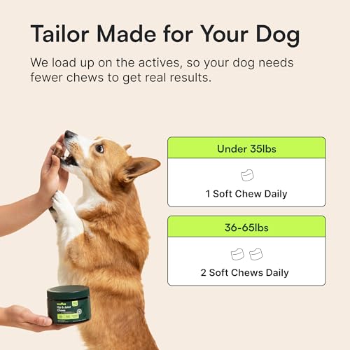 Hip and Joint Supplement for and 23 (Small & Medium Breed)
