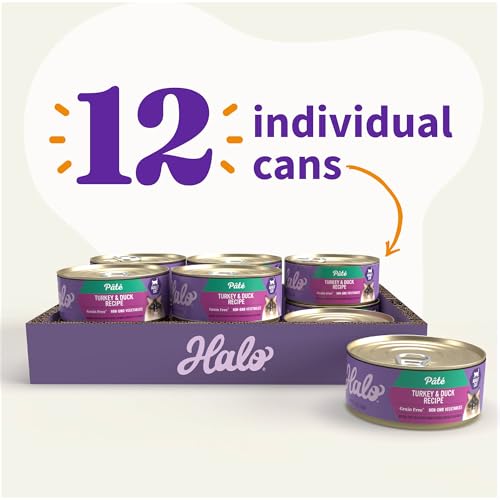 Pate Wet Cat Food