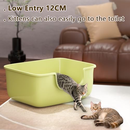 Large Cat Litter Box with High Sides (Green)