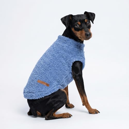 2 Pack Striped Fleece Dog Sweater (X-Small / Sky Blue-Olive Green)