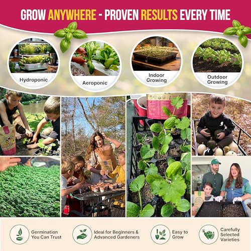 25 Medicinal & Tea Herb Seeds Variety Pack for Indoor & Outdoors. 10900+ Non