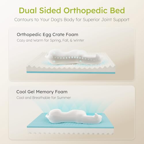 Dog Beds for Large Dogs (Black / Large(36"L x 27"W x8.5"Th))