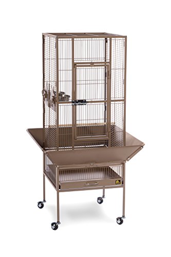 Park Plaza Bird Cage w (Coco Brown)