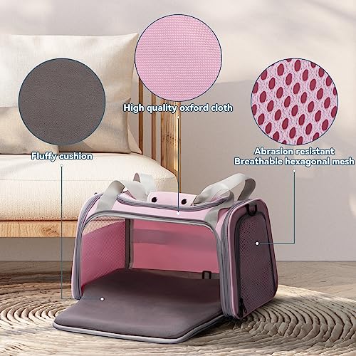 Cat Carrier for Large Cats (19.7"L x 13.0"W x 13.0"H / Pink)