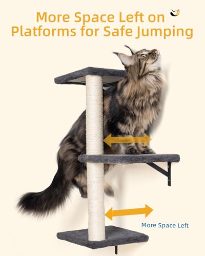Heavy Duty Cat Wall Shelves for Large Cats