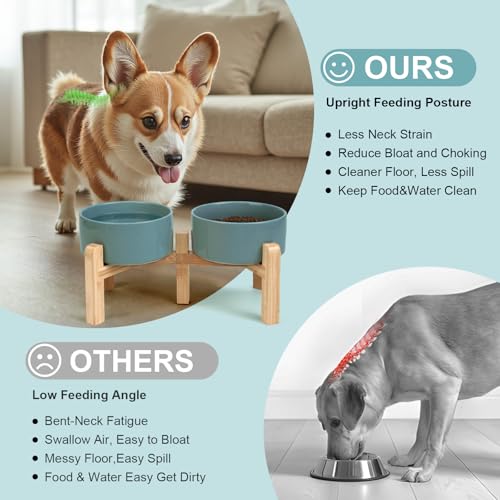 Elevated Dog Bowls Ceramic (6.1 in - 3.6 cups / Dark Green)