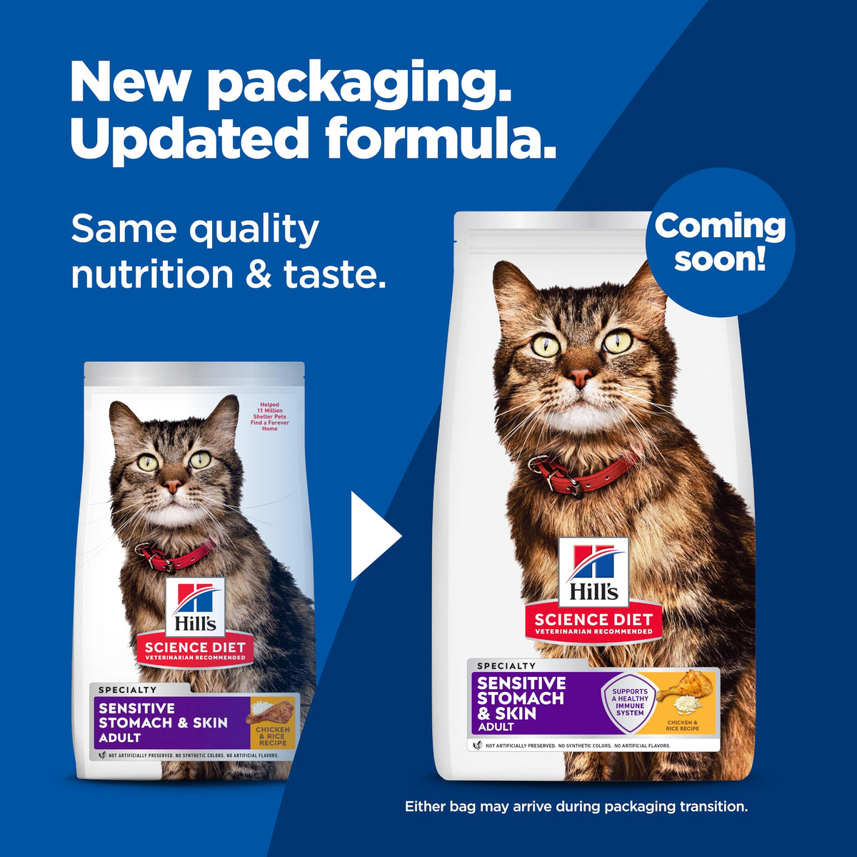 Sensitive Stomach & Skin Dry Cat Food (15.5 Pound (Pack of 1))