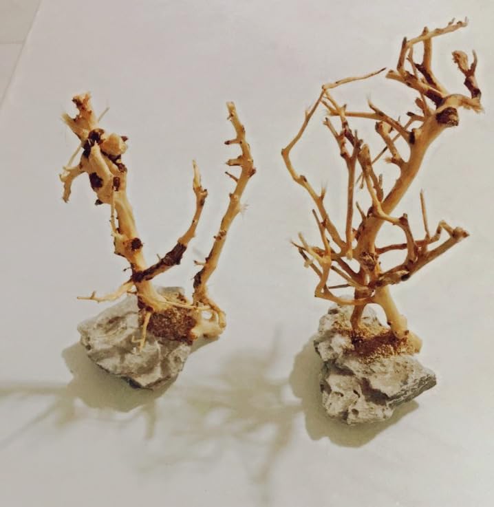 2pcs Small Bonsai Aquarium Tree