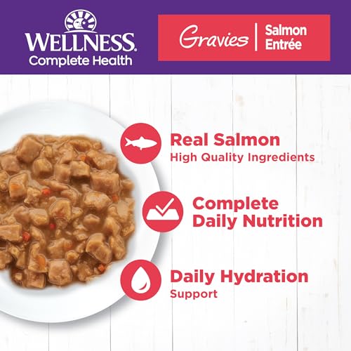 Complete Health Gravies Adult Canned Wet Cat Food (5.5 Ounce (Pack of 12))