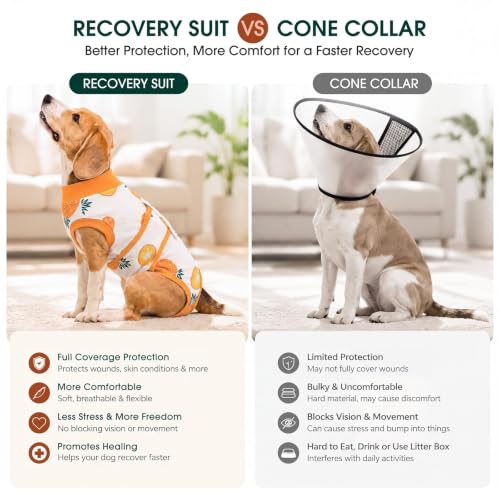 Recovery Suit for Dogs Cats (S (Back:11.4-13.4'', Weight:7-15 Lb) / Pineapple Citrus)