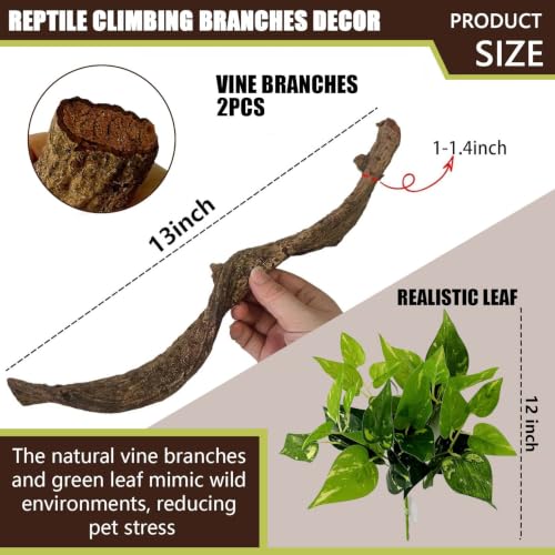 2PCS Natural Reptile Climbing Branches Decor (2PCS|S:0.75-1.25"D,13"L)