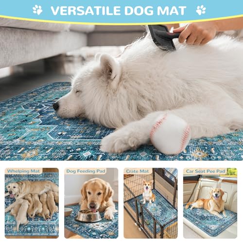 Super Absorbent Washable Pee Pads for Dogs (Blue / 3FT x 3FT (Pack of 2))