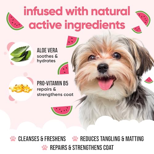Watermelon Dog Shampoo by Buddycare (169.07oz)