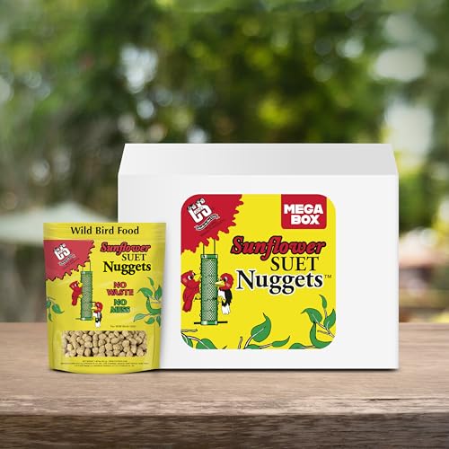 Sunflower Flavor Suet Nuggets (8 Pound (Pack of 1))
