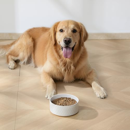 Ceramic Dog Food Bowl (Honeycomb / 6 Cups)