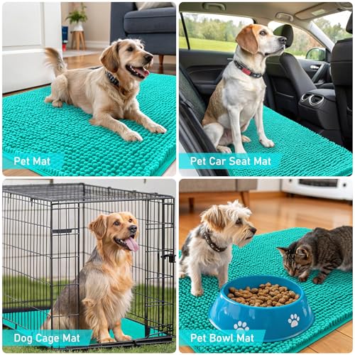 Dog Door Mat for Muddy Paws 40x32 (Teal / 40" X 32")