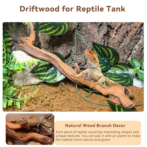 2PCS Snake Climbing Branches (2Pcs 10-12in Reptile Climbing Branches)