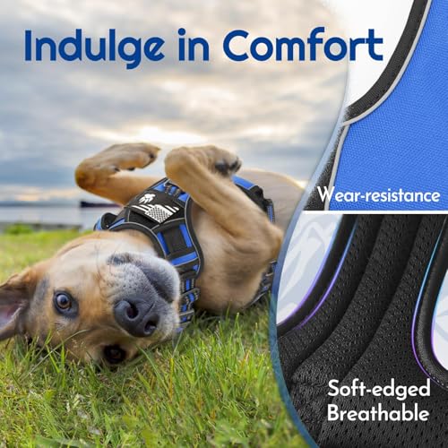 Dog Harness No Pull for Large Dogs (X-Large / Blue & Black)