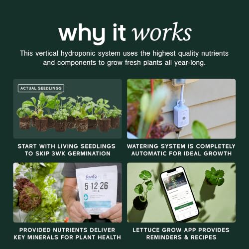 Farmstand Outdoor Starter Kit (24 Seedlings / Outdoor With Seedlings)