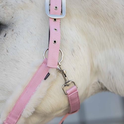Valkyrie Ultra Fleece Padded Leather Fuse Breakaway Horse Halter (Sweet Pink/Ivory White / Horse)