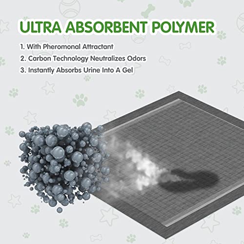 Dog Training Pads Extra Large Size丨Carbon Absorb Eliminating Urine Odor Puppy Pads 丨 Premium Charcoal Dog Pee Pads (30 x 36 in)