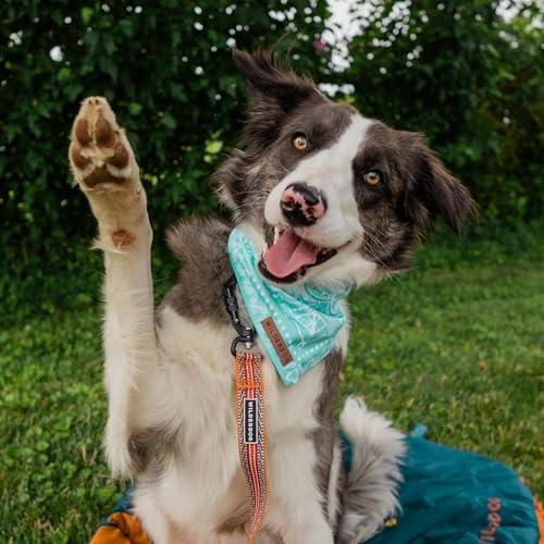 Dog Bandana with Lightweight Quick Drying Poly (Agave)