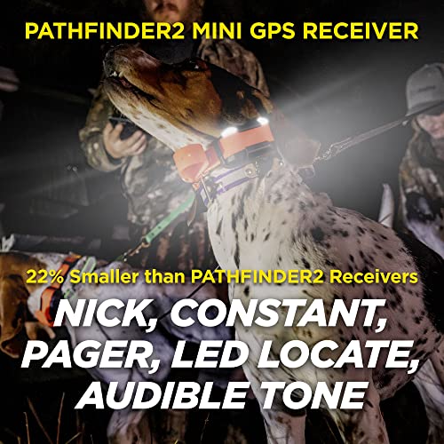 Pathfinder 2 Mini GPS Dog Tracker e Collar 4 Mile Long Range LED Light No Monthly Fees Free App Waterproof Smartwatch Control Based Real Time Tracking Multiple Dogs Smartphone Required (Pathfinder 2 / 25 lbs and up)
